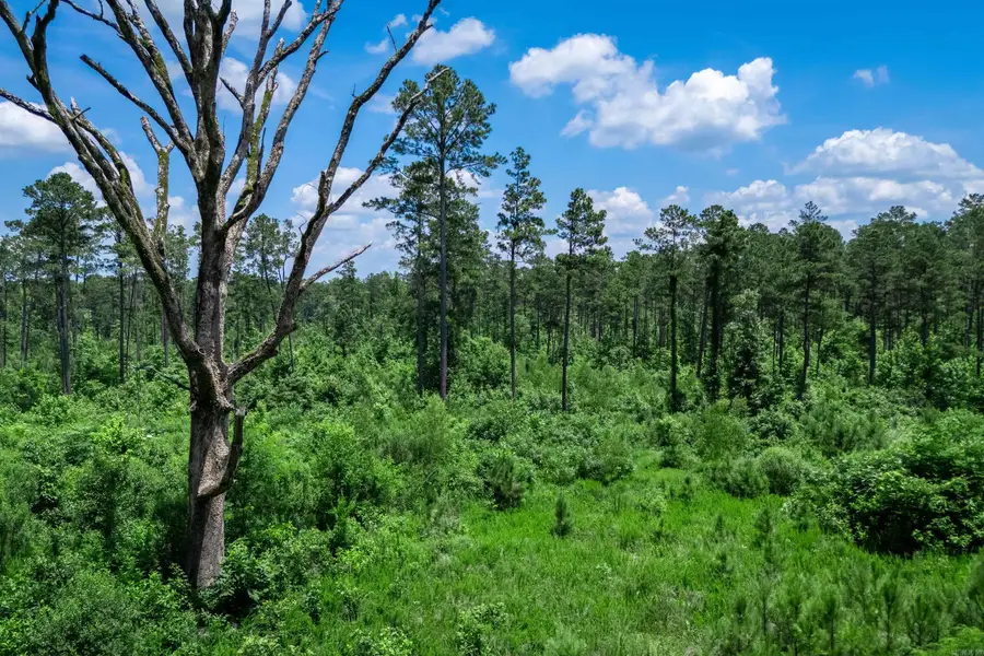 Tbd Mathews Road, Donaldson, AR 71941 - #3