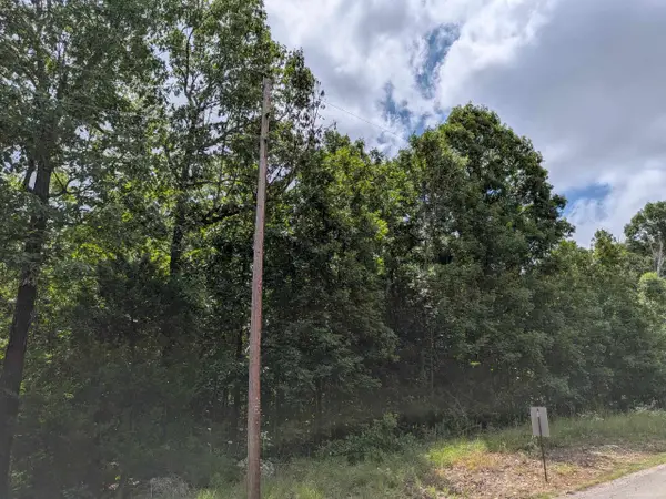 Summit Ridge Drive, Ozark Acres, AR 72482
