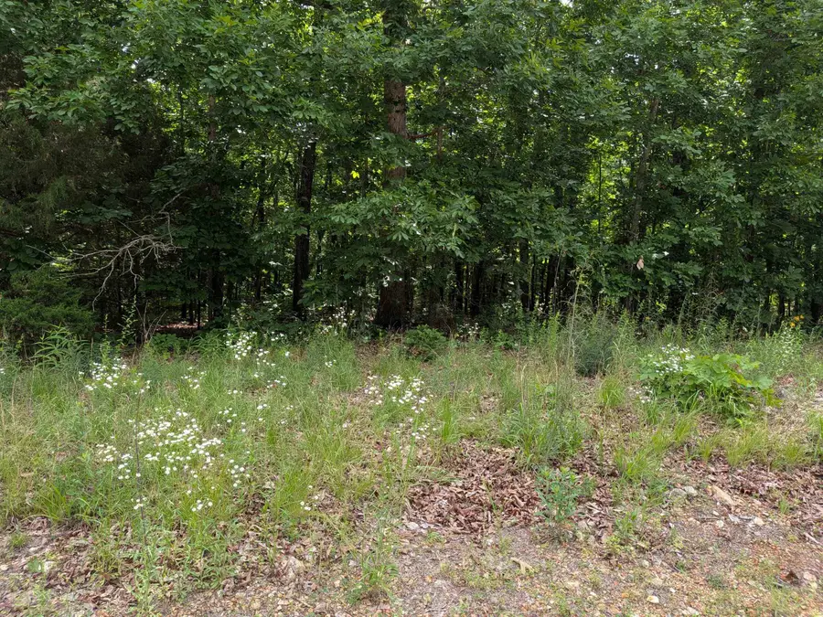 Summit Ridge Drive, Ozark Acres, AR 72482 - #2