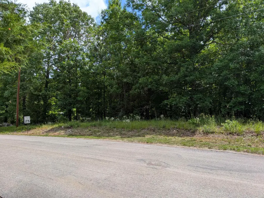 Summit Ridge Drive, Ozark Acres, AR 72482 - #3