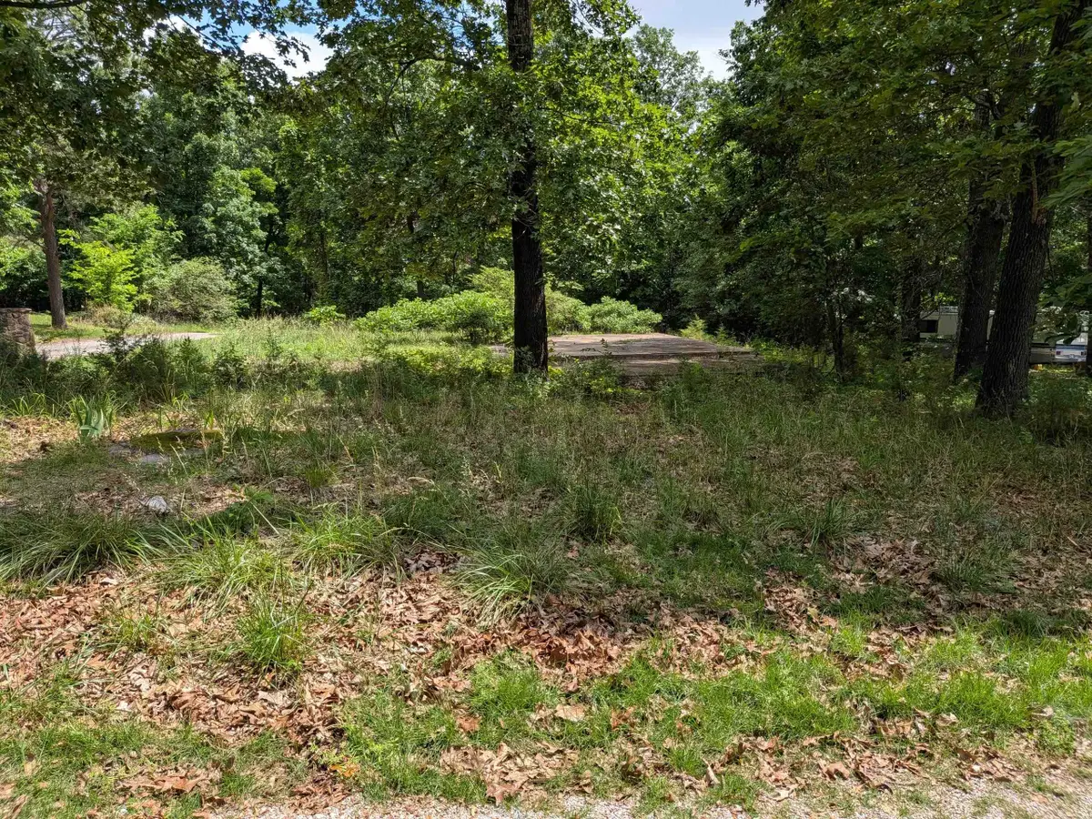 Dogwood Trail, Ozark Acres, AR 72482 - #1