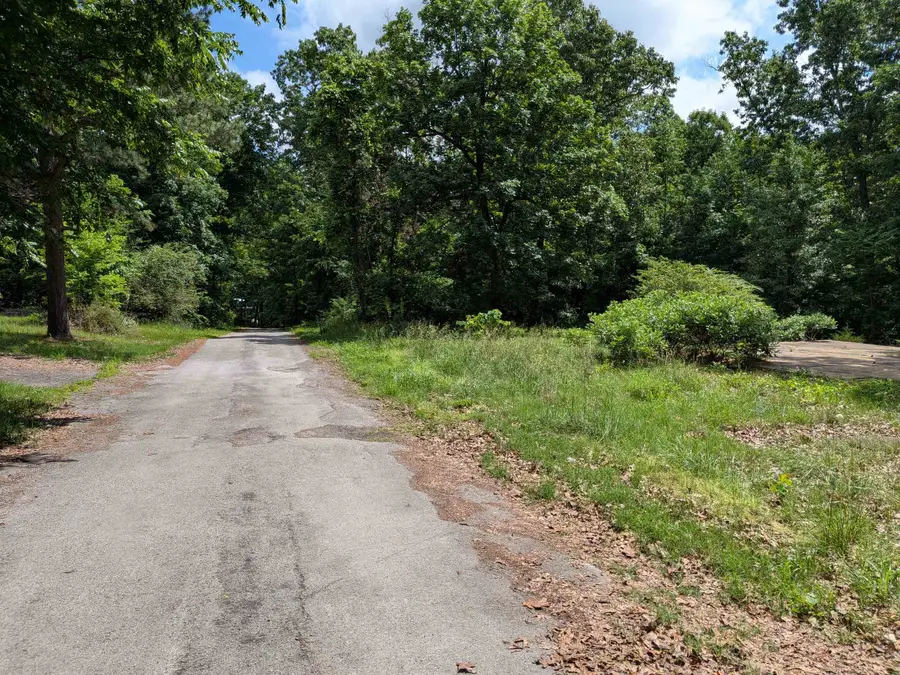 Dogwood Trail, Ozark Acres, AR 72482 - #2