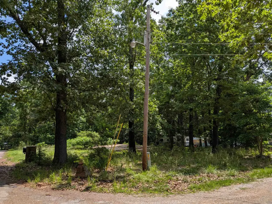 Dogwood Trail, Ozark Acres, AR 72482 - #3