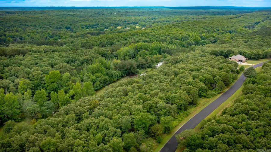 Lot 9 Eagles Nest, Austin, AR 72007 - #3