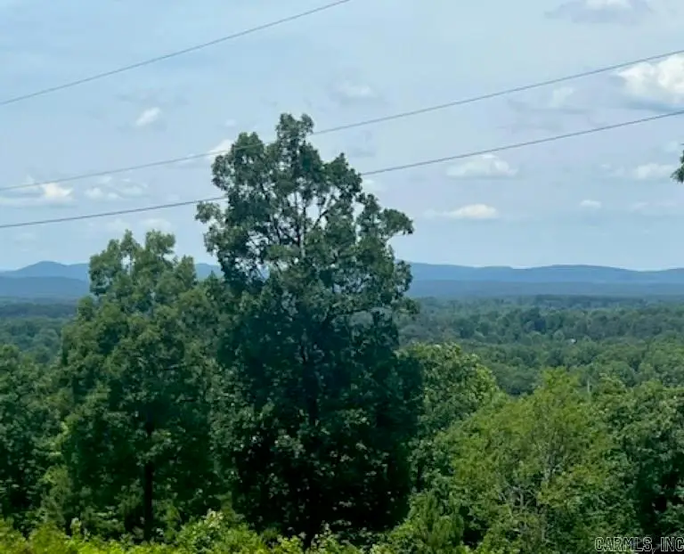 2251 Hwy 27 North, Amity, AR 71921 - #3