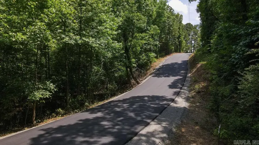 00 Wilderness Road, Greenbrier, AR 72058 - #3