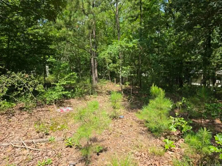 223 Tepee Trail, Hot Springs, AR 71913 - #3