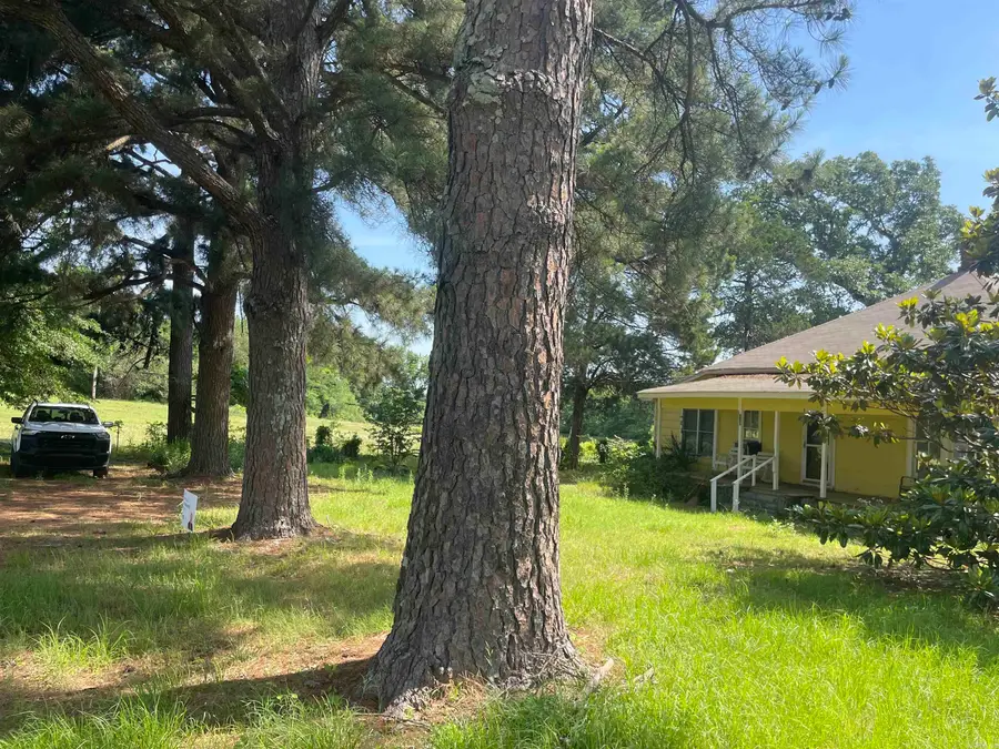 130 Tipton Street, Bigelow, AR 72016 - #3