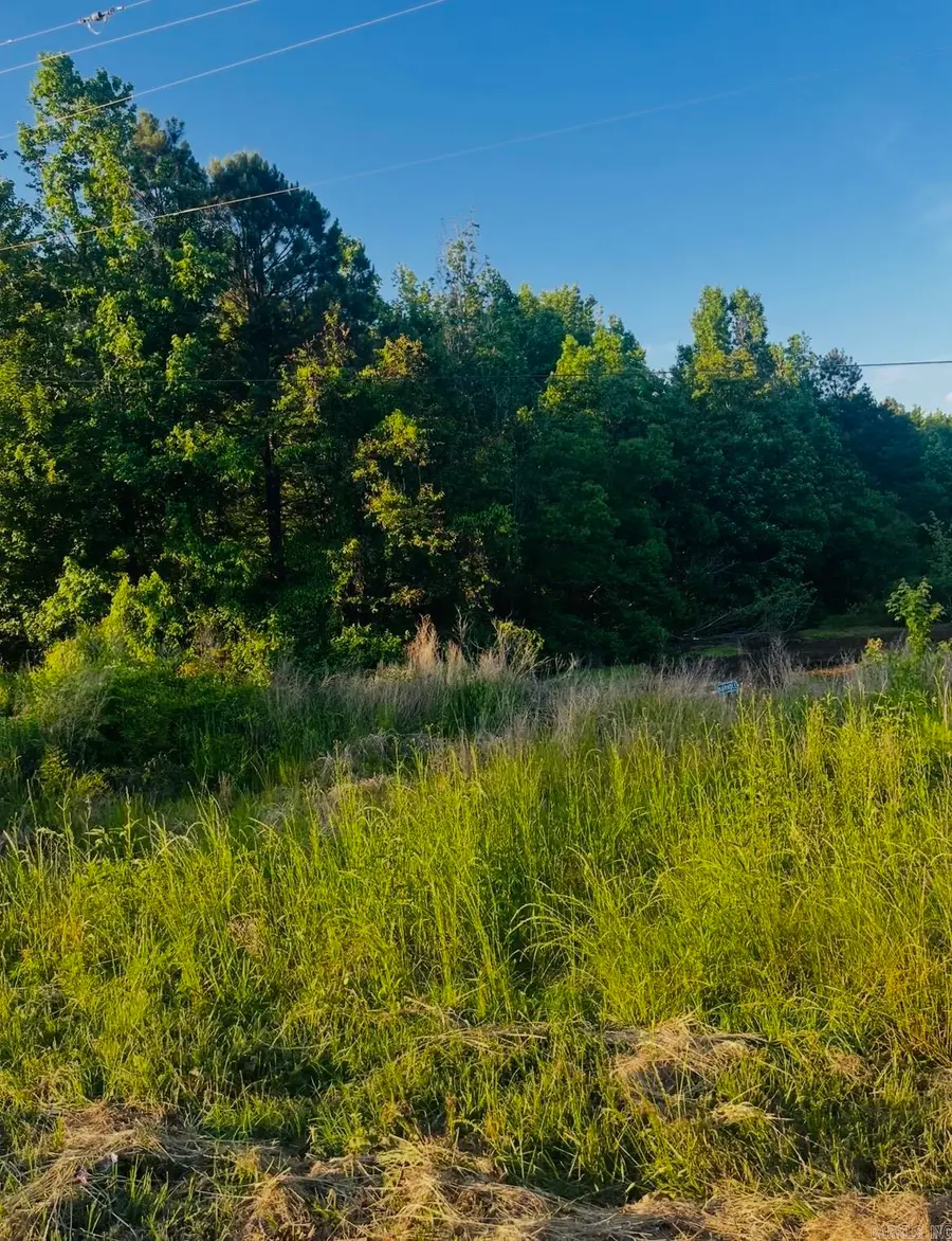 Lot 4 Parkwood, Monticello, AR 71655 - #2