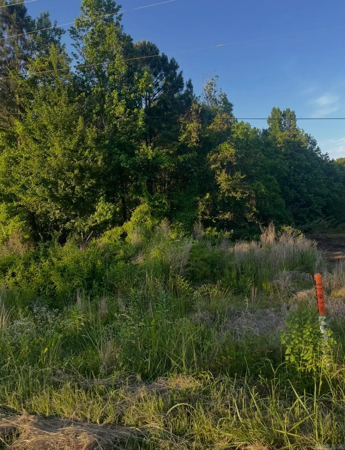 Lot 90 Parkwood, Monticello, AR 71655 - #1