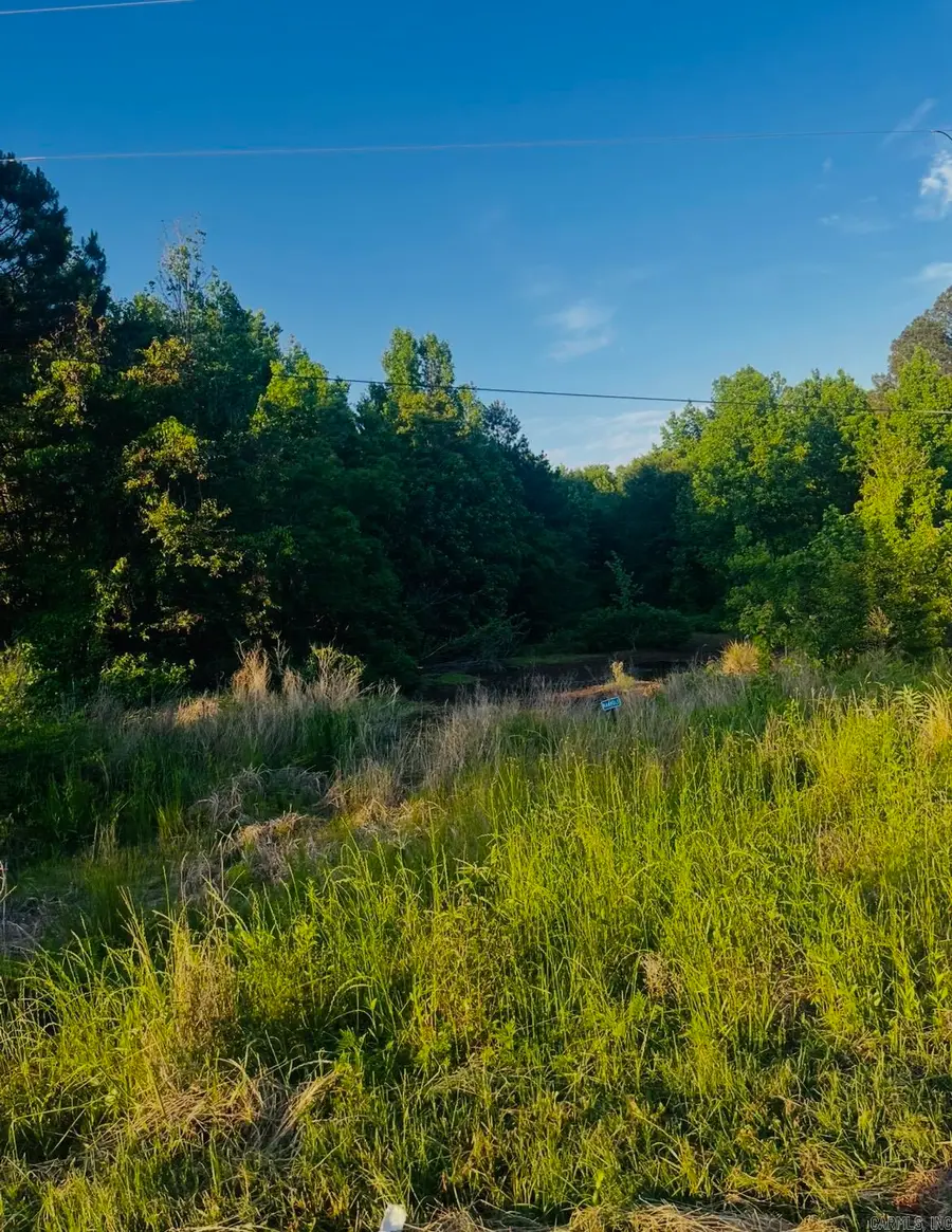 Lot 7 Parkwood, Monticello, AR 71655 - #2