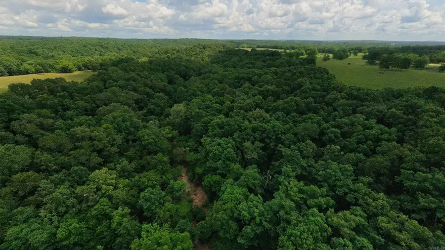 000 County Road 200, Alton, MO 65606 - #3