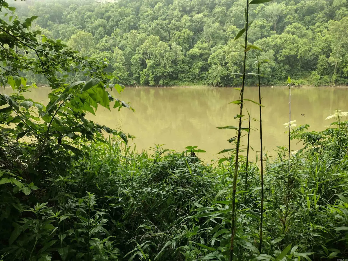 890 S River View Ln, White River, AR 72556 - #1