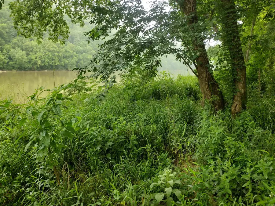 890 S River View Ln, White River, AR 72556 - #3