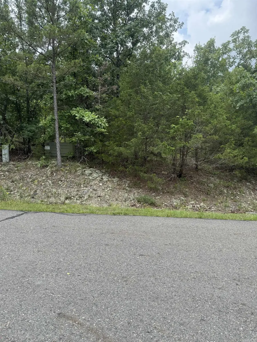 22 Cetrero Way, Hot Springs Village, AR 71909 - #2