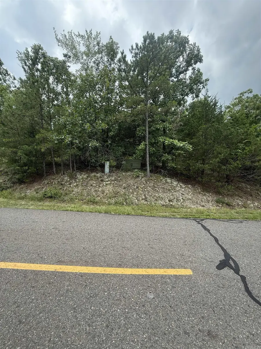 22 Cetrero Way, Hot Springs Village, AR 71909 - #3