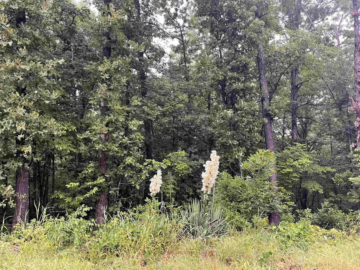 TBD Blackfoot Drive, Cherokee Village, AR 72529 - #1