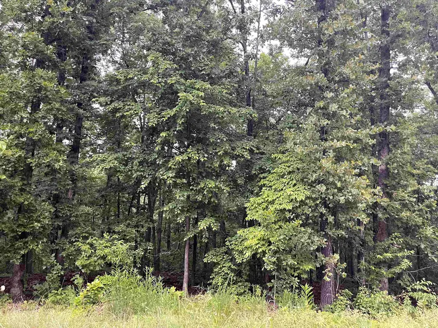 TBD Blackfoot Drive, Cherokee Village, AR 72529 - #2