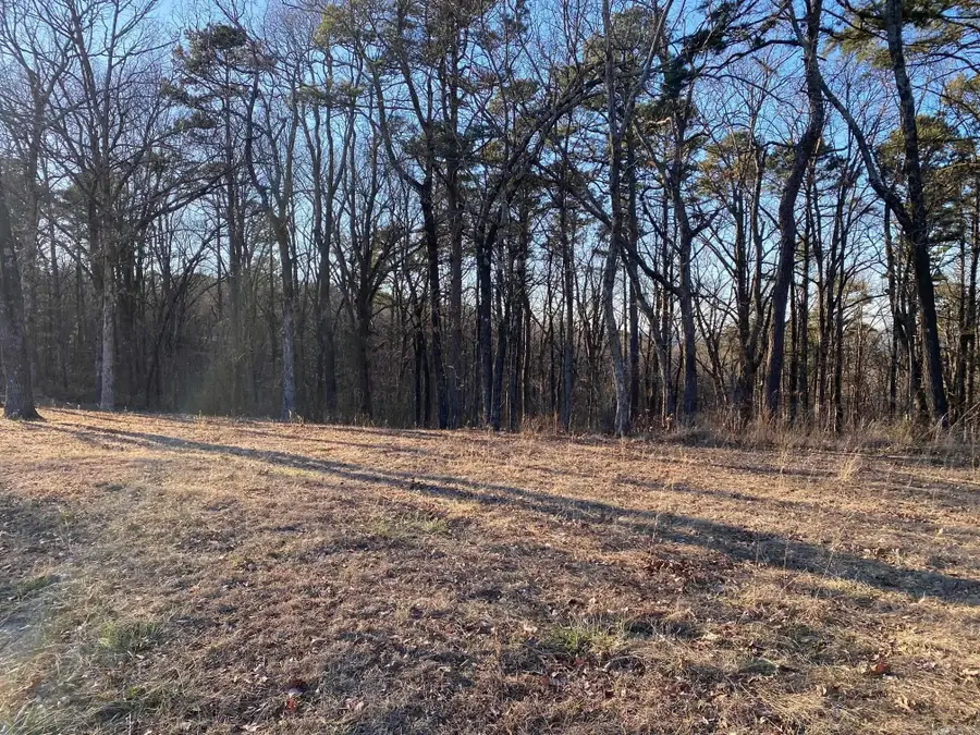 184 Dug Hill Road, Drasco, AR 72530 - #3