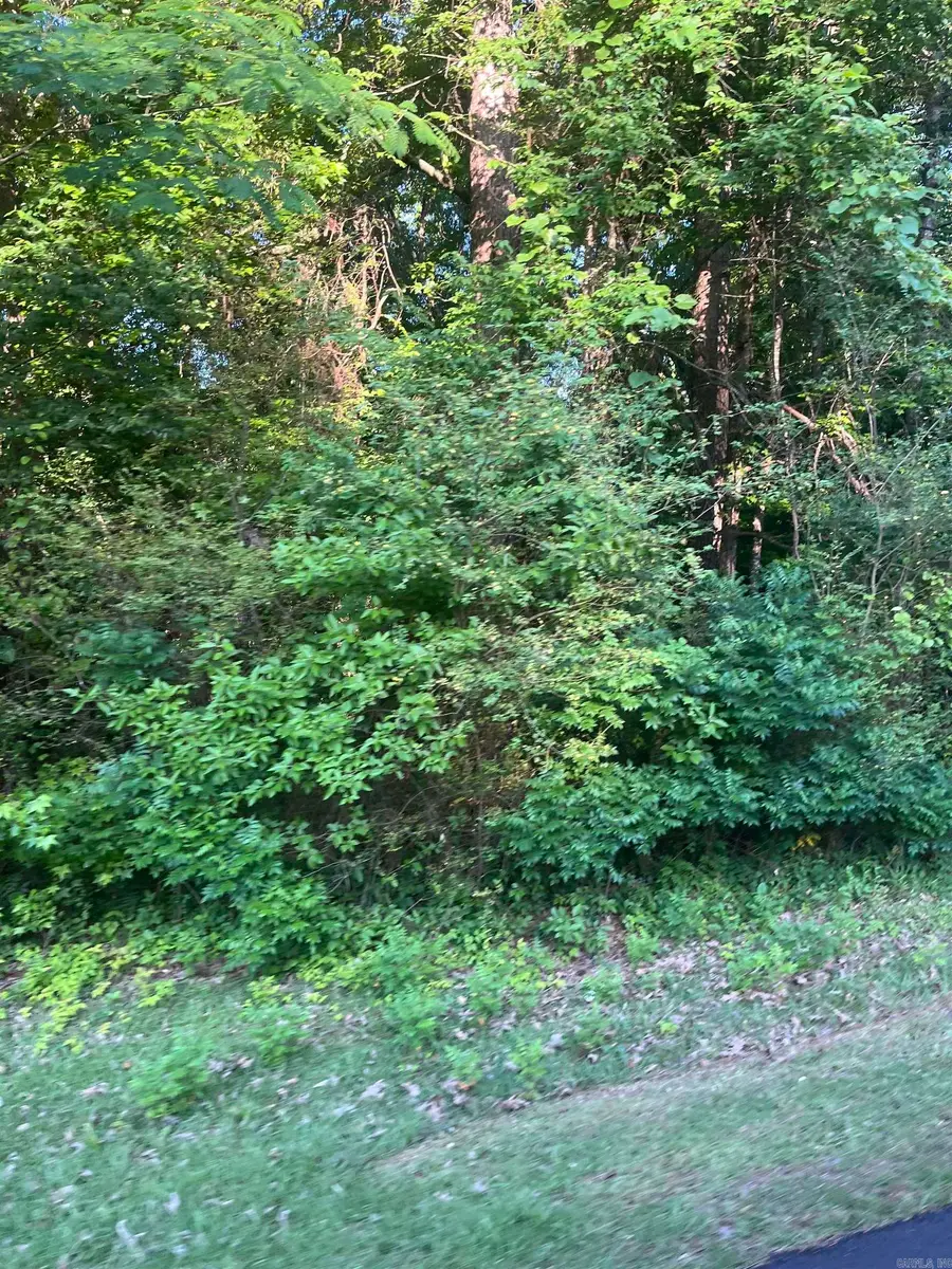 Lot 35 Tanglewood Ii, Monticello, AR 71655 - #2