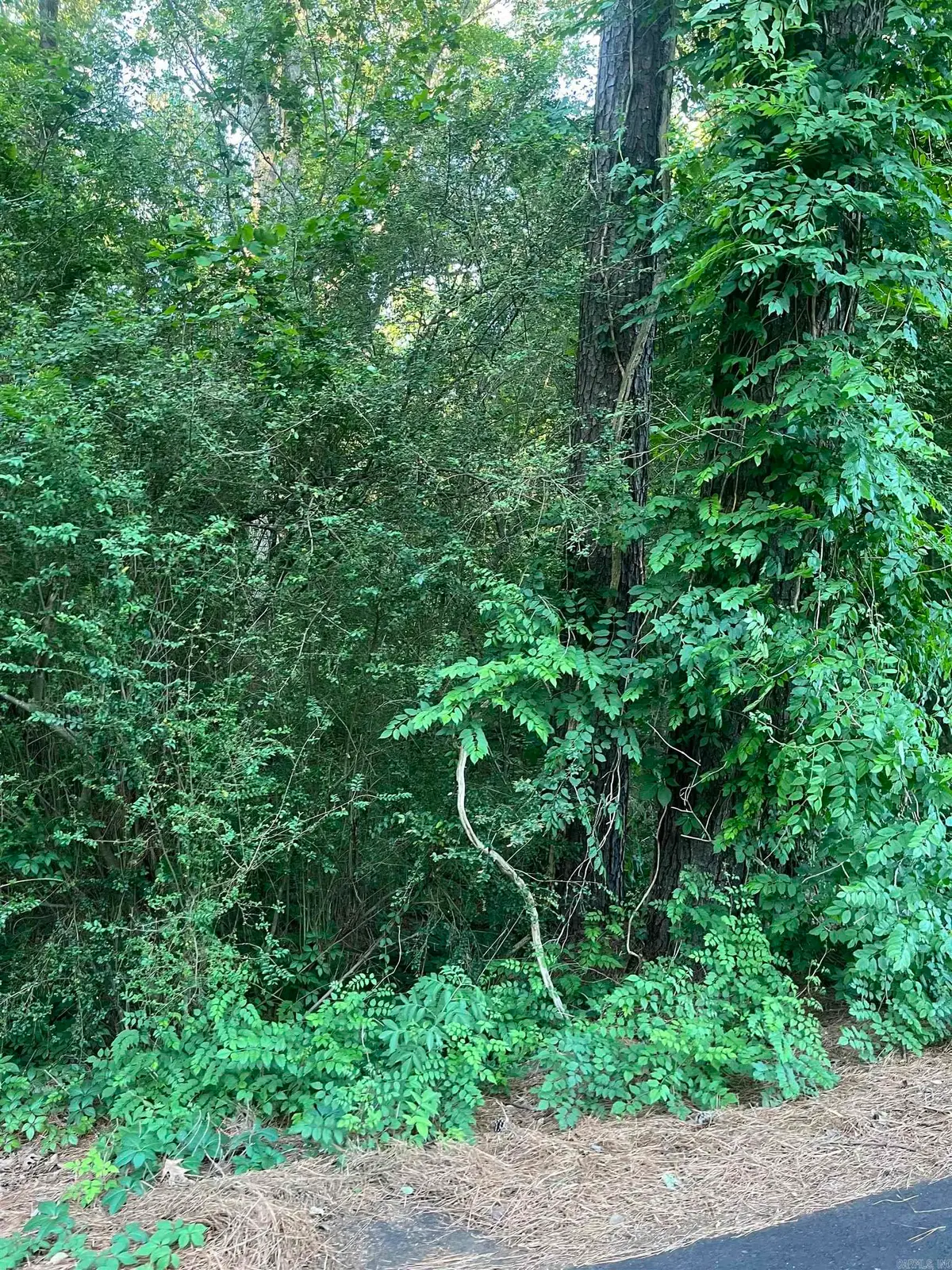 Lot 36 Tanglewood Ii, Monticello, AR 71655 - #1
