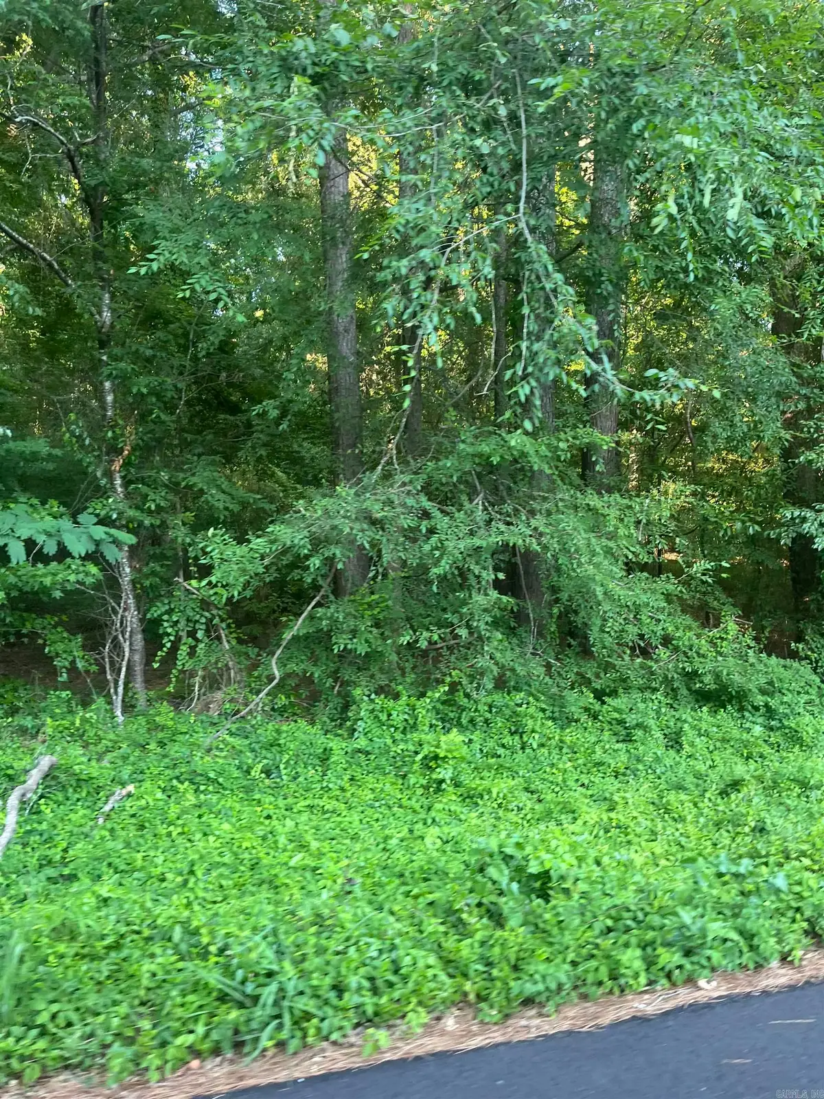 Lot 37 Tanglewood Ii, Monticello, AR 71655 - #1