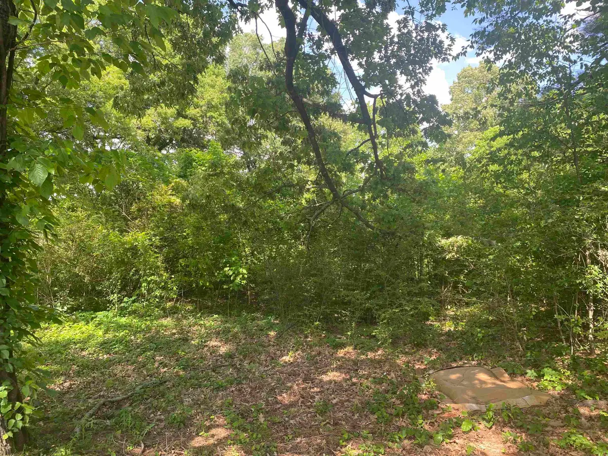 Morrow Drive, Paragould, AR 72450 - #1