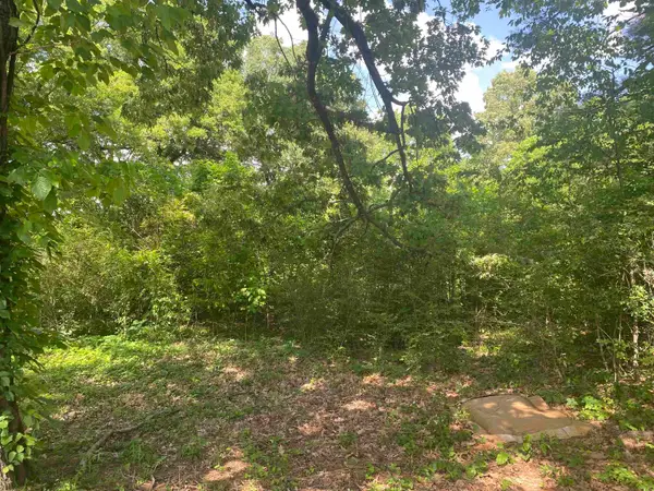 Morrow Drive, Paragould, AR 72450