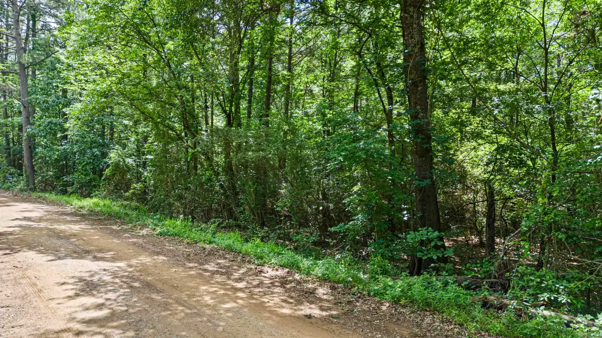 TBD E Cedar Piney Road, Havana, AR 72842 - #1