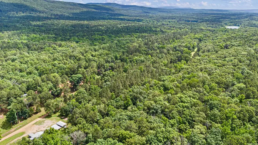 TBD E Cedar Piney Road, Havana, AR 72842 - #3