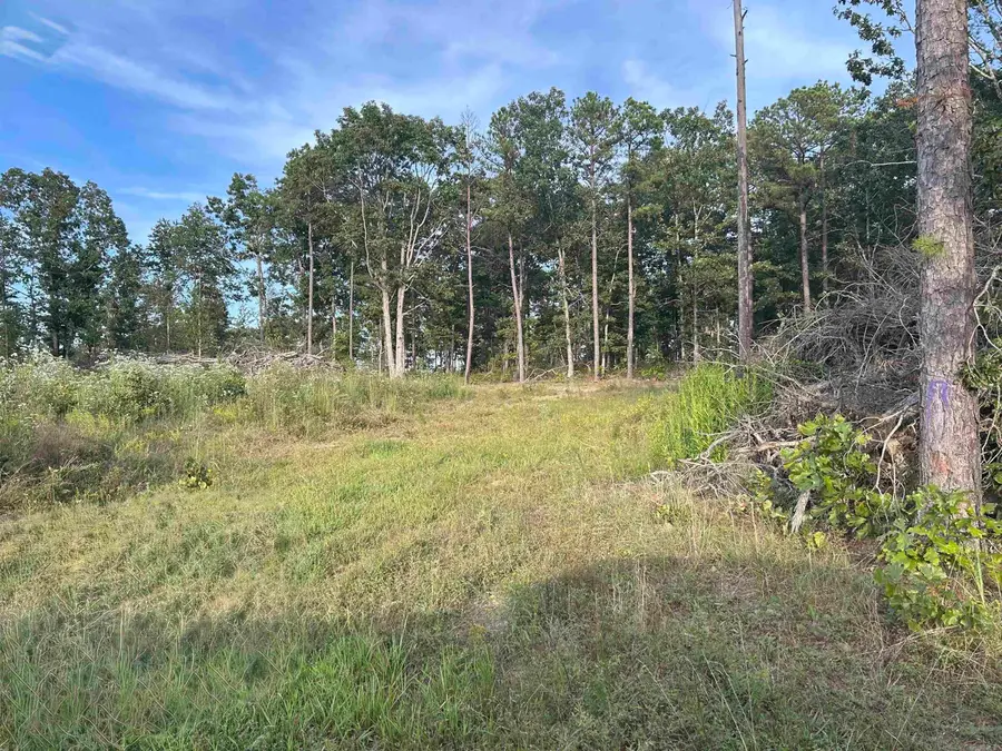 849-889 Presnull, Dennard, AR 72629 - #2