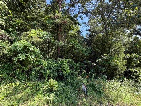 0 56 Highway, Brockwell, AR 72157