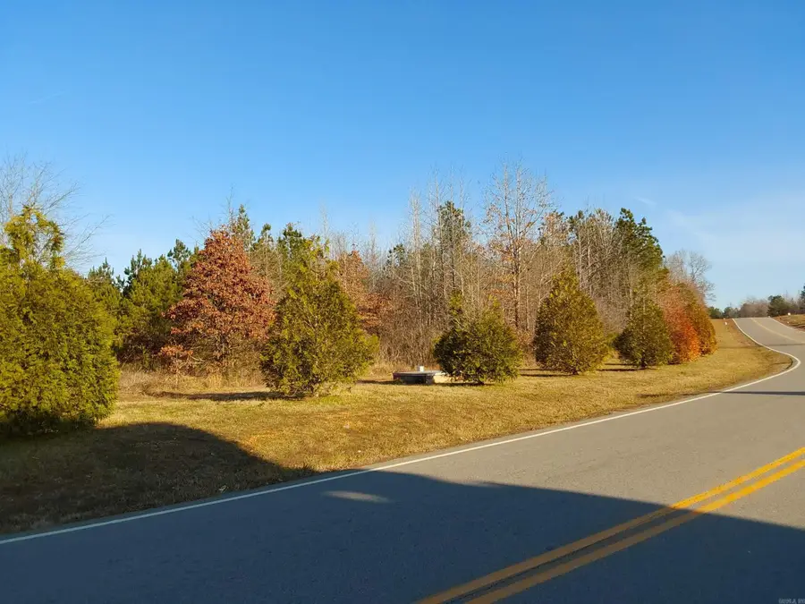 Lot 216 Parkway Trail Blvd, Bauxite, AR 72011 - #2