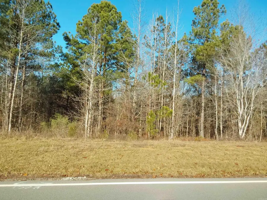 Lot 216 Parkway Trail Blvd, Bauxite, AR 72011 - #3