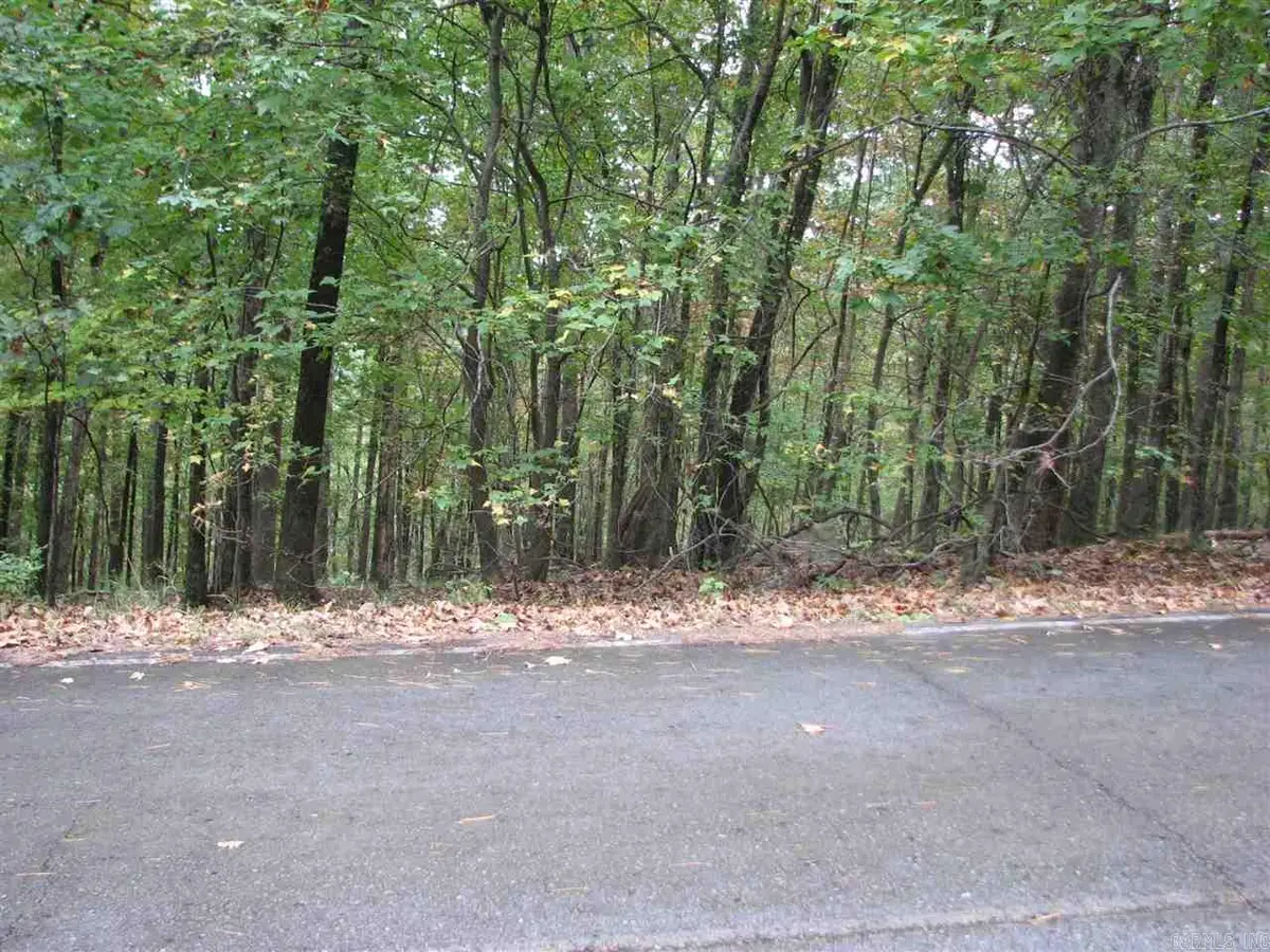 27 Lago Drive, Hot Springs Village, AR 71909 - #1