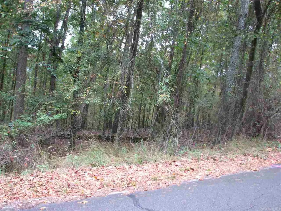 27 Lago Drive, Hot Springs Village, AR 71909 - #3