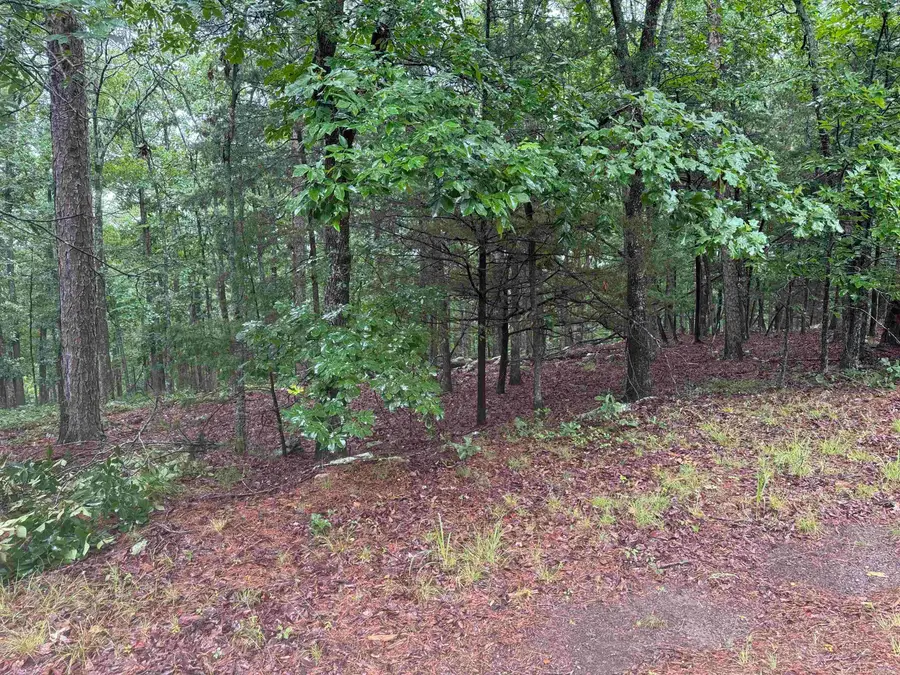 Lot 36 Vista Lane, Fairfield Bay, AR 72088 - #2