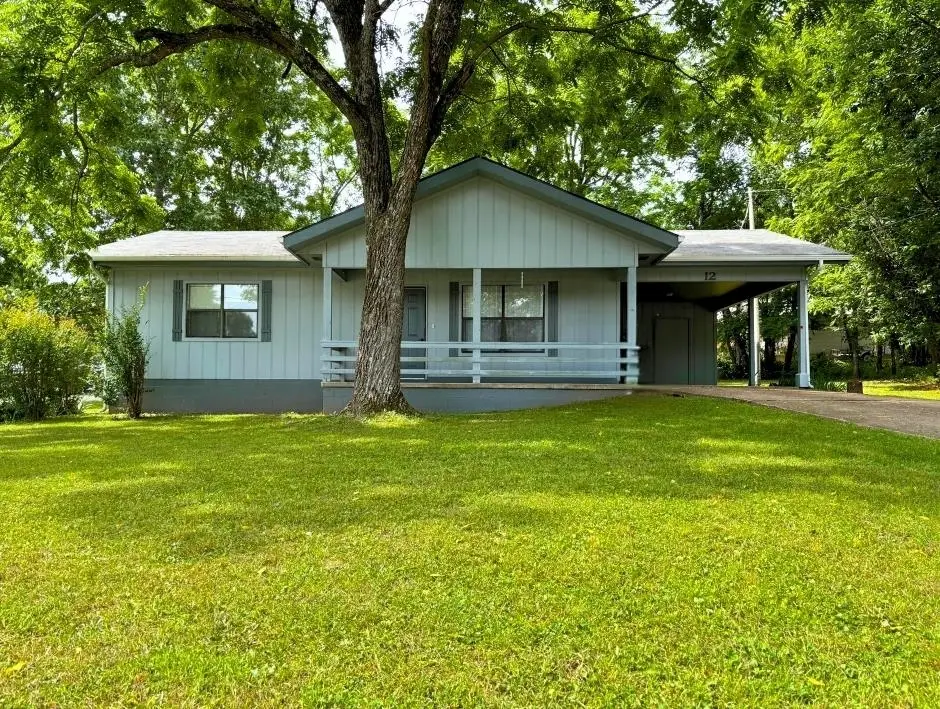 12 Tishimingo Drive, Cherokee Village, AR 72529 - #1