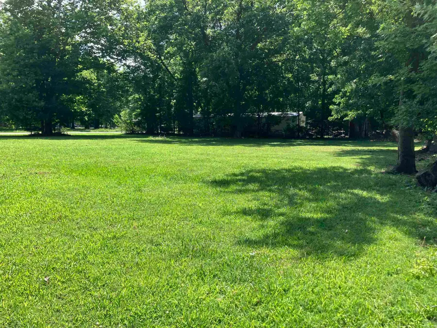 000 Vine Street, Bald Knob, AR 72010 - #3