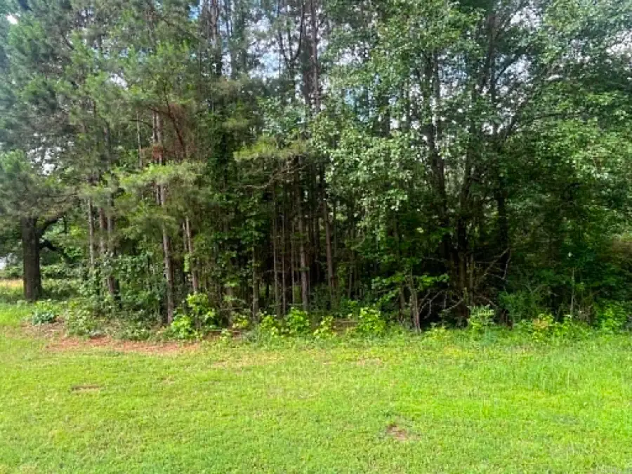 TBD Amsterdam St, Mena, AR 71953 - #2