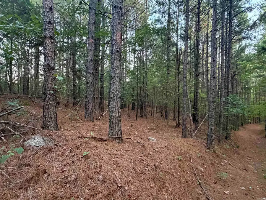 000 Chimney Rock, Shirley, AR 72153 - #2