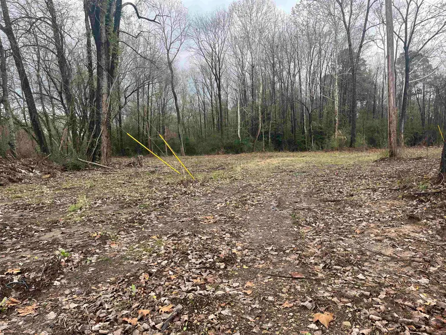 Babcock Street, Malvern, AR 72104 - #2