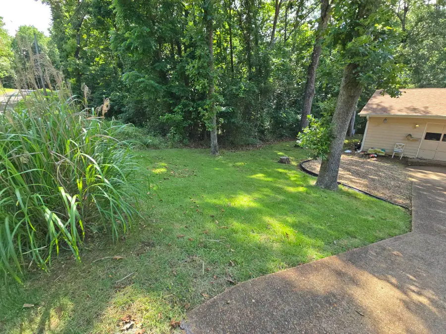 31 Chacoto Drive, Cherokee Village, AR 72529 - #3