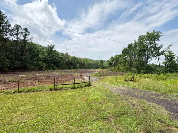 50.65 acres off Sr 164 W, Dover, AR 72837