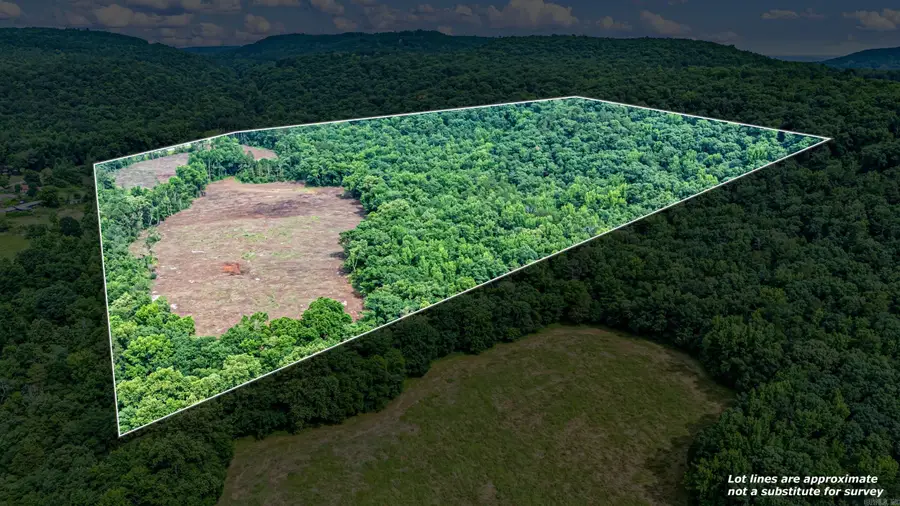 50.65 acres off Sr 164 W, Dover, AR 72837 - #2