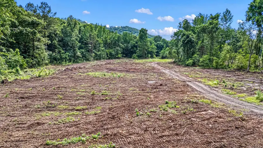 50.65 acres off Sr 164 W, Dover, AR 72837 - #3