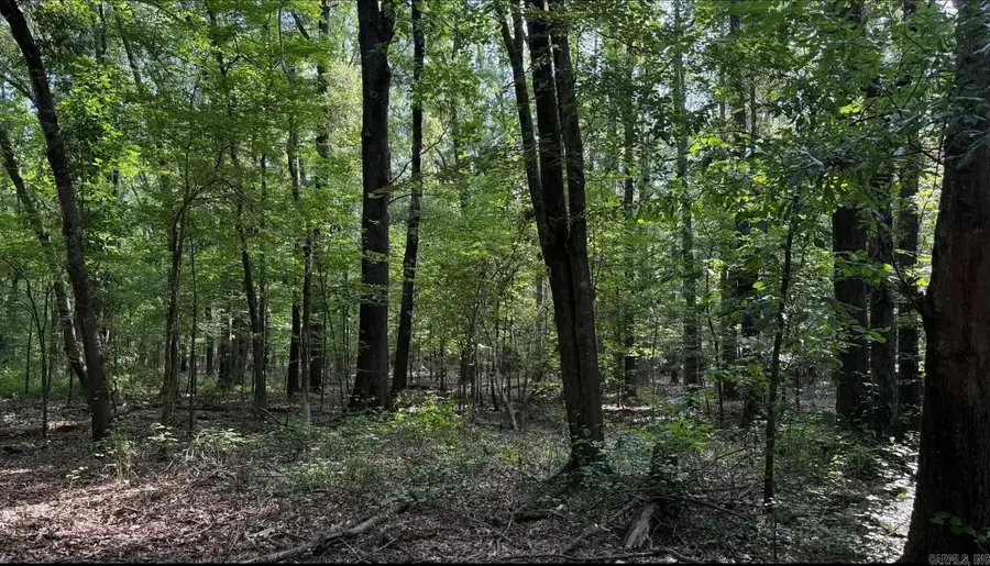 2212 Graham Road, Jacksonville, AR 72076 - #2