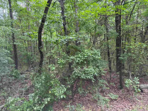 00 No. Broadway Street, Heber Springs, AR 72543