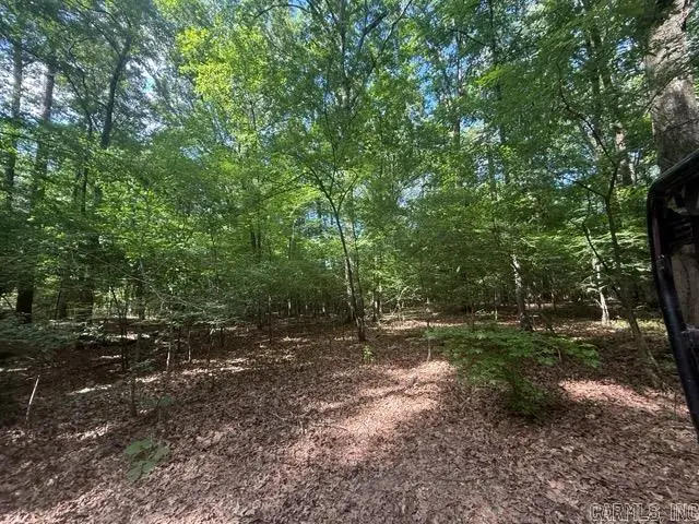 4.26 Acres Oklahoma Inn Rd, Benton, AR 72015 - #2