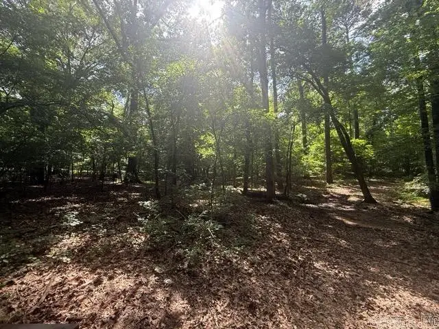 4.26 Acres Oklahoma Inn Rd, Benton, AR 72015 - #3